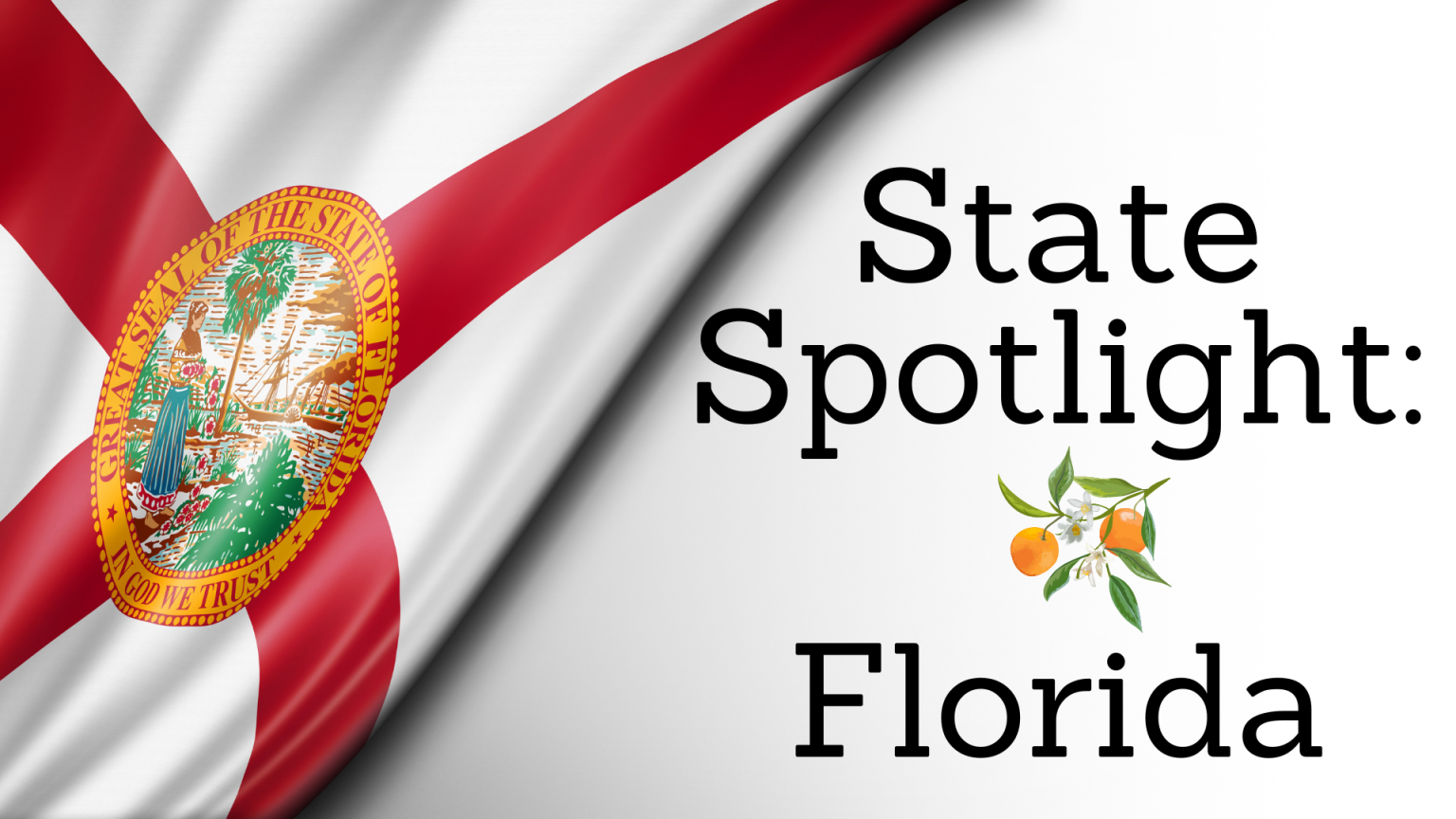 state-spotlight-florida-a-better-way-to-blog-paymaster