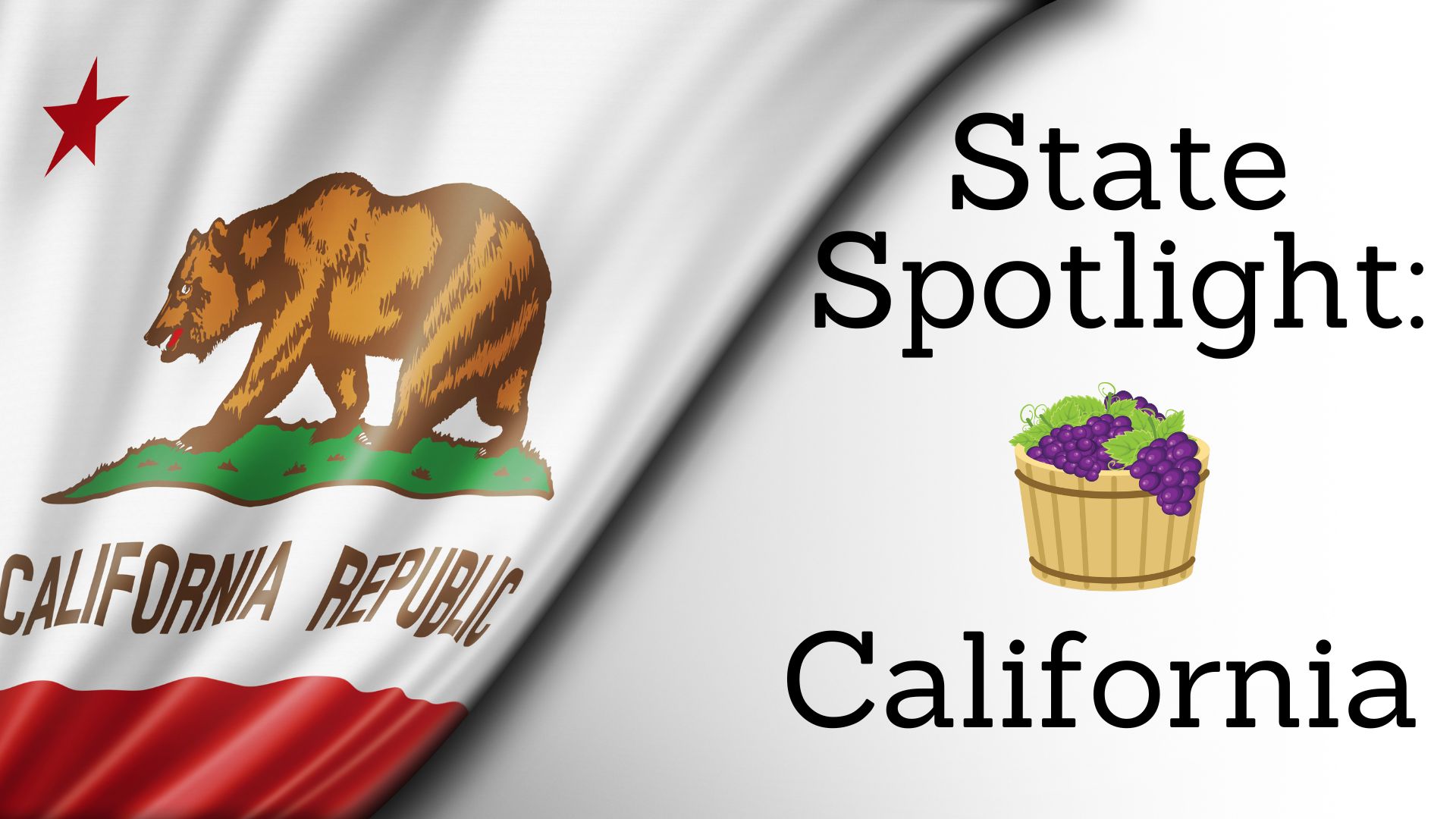 State Spotlight: California