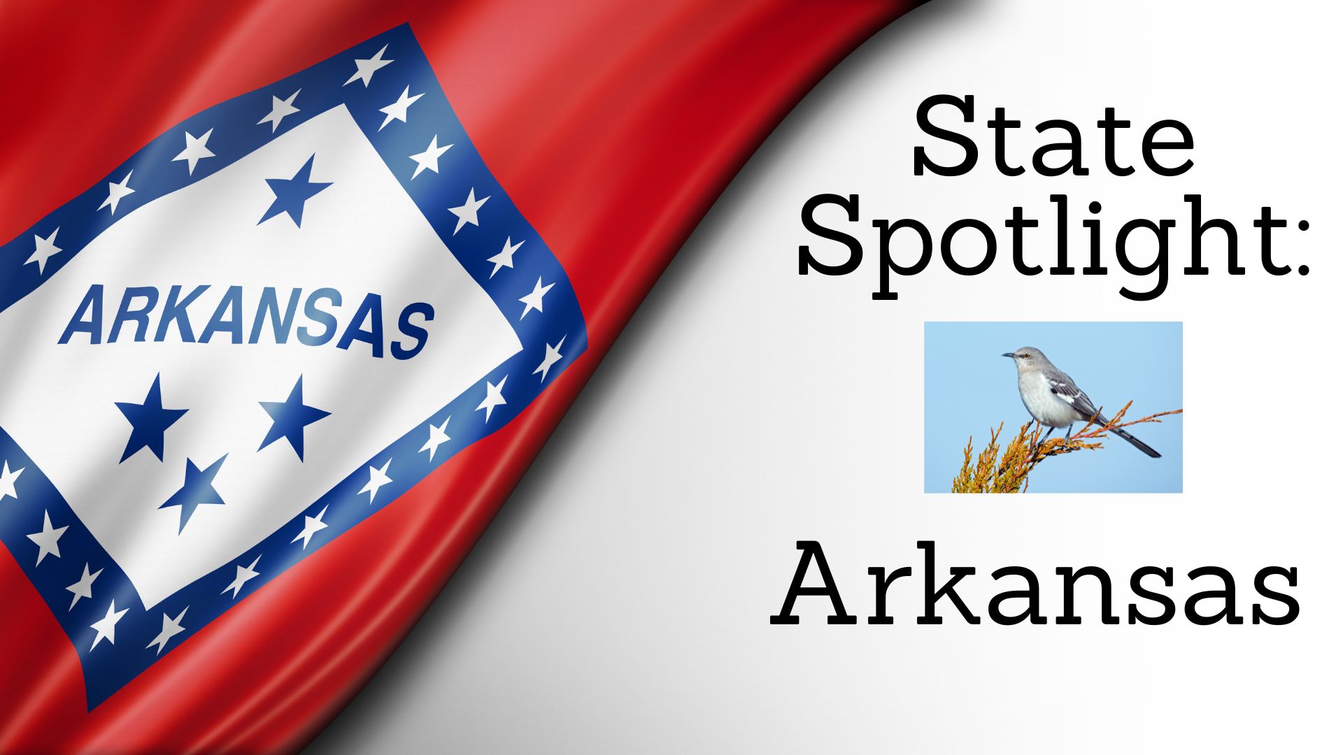 State Spotlight: Arkansas