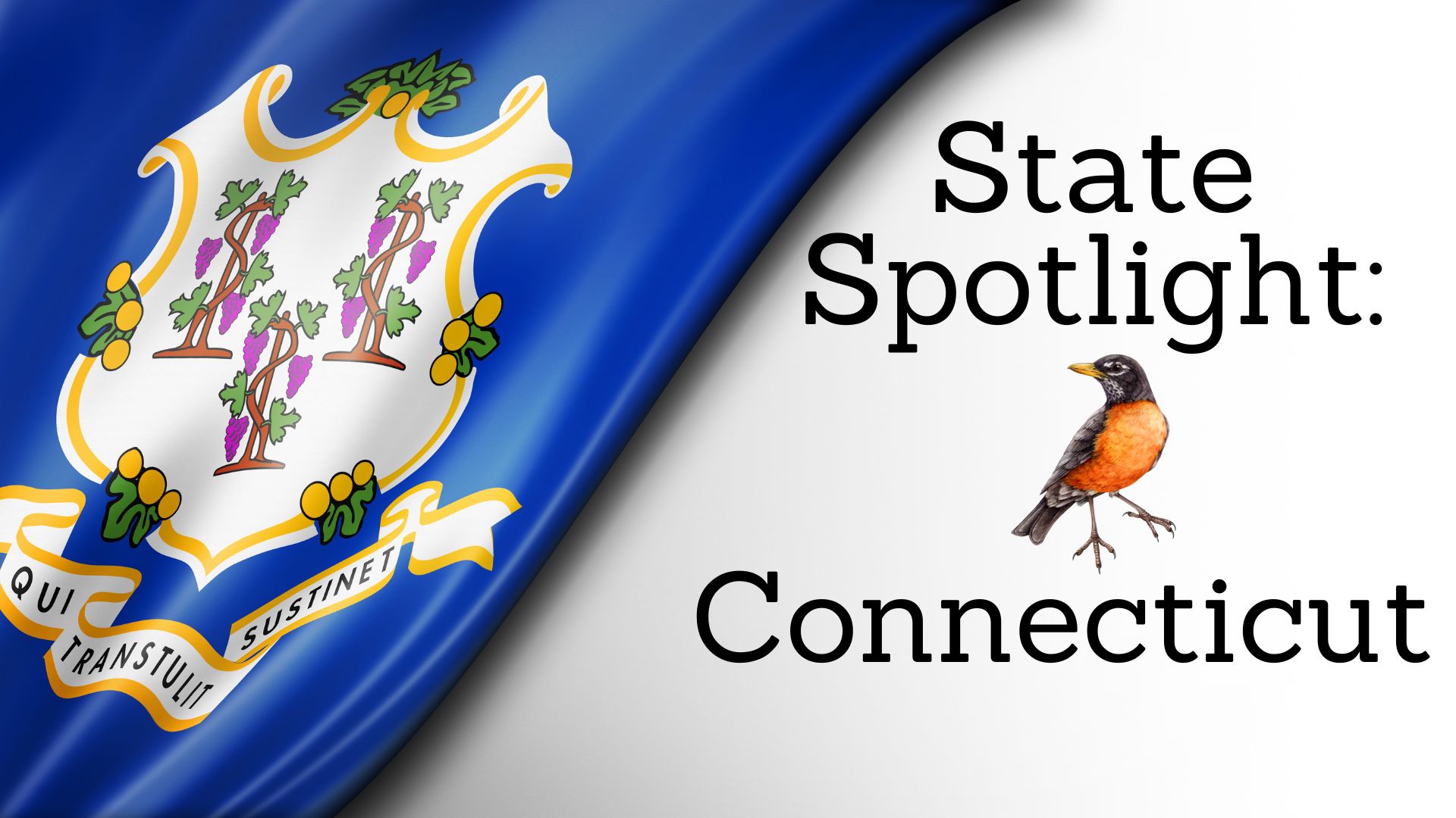 State Spotlight: Connecticut