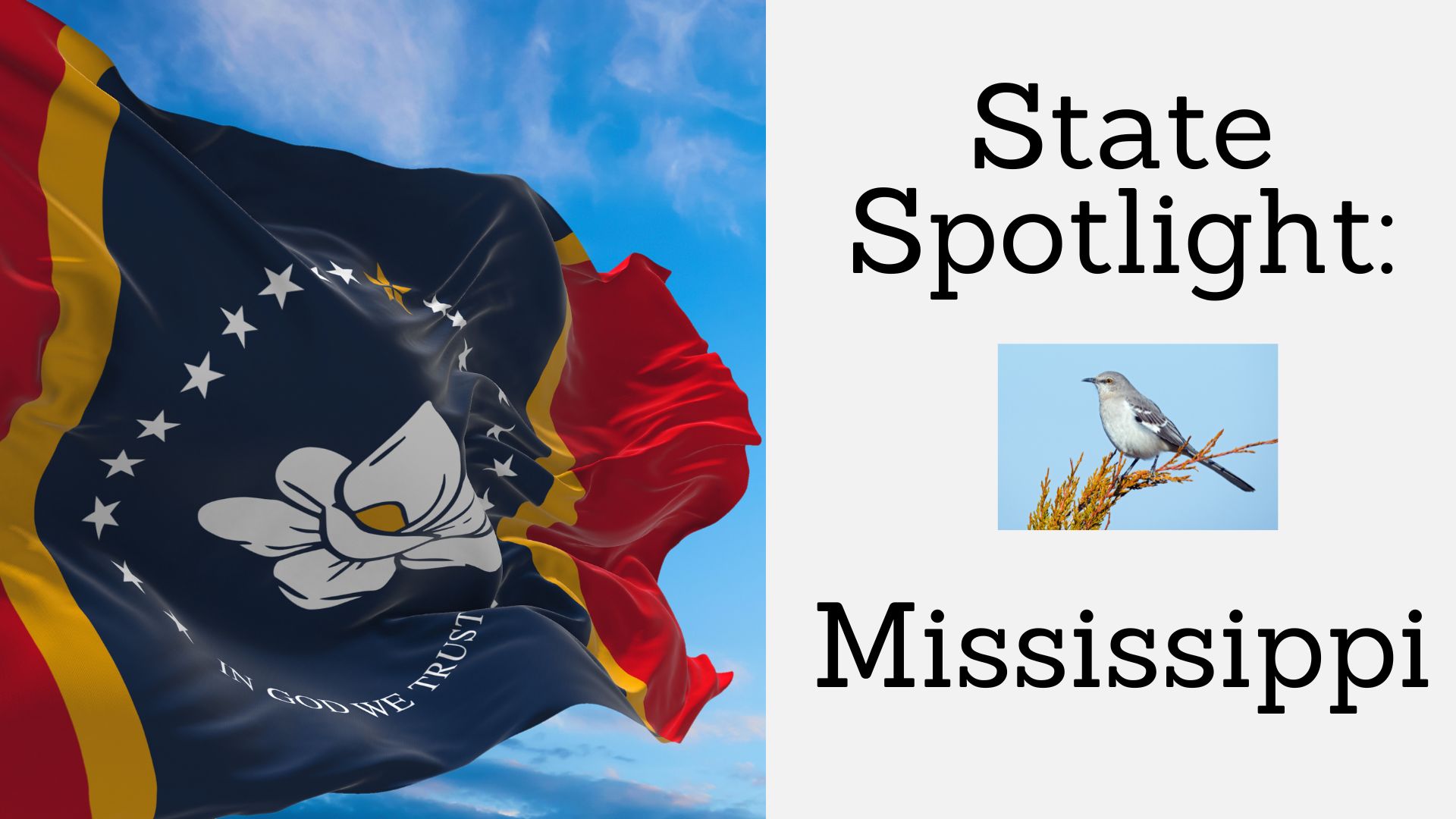 State Spotlight: Mississippi