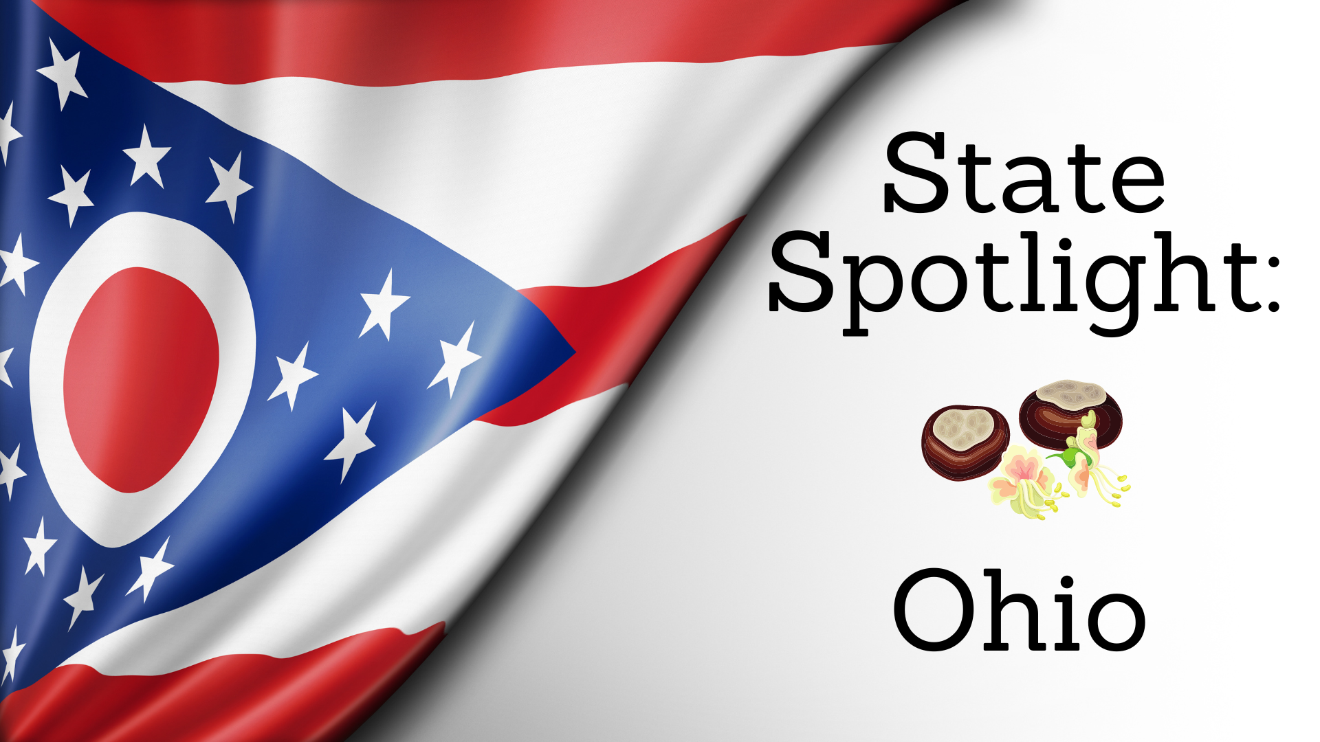 State Spotlight: Ohio
